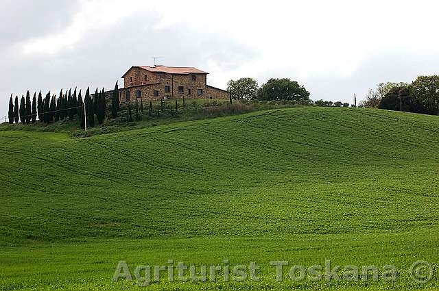 podere 021
